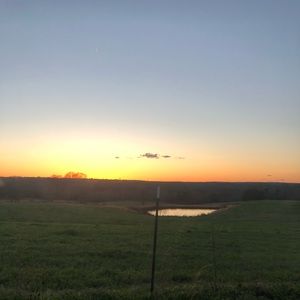 Meet your Posher, Maggie